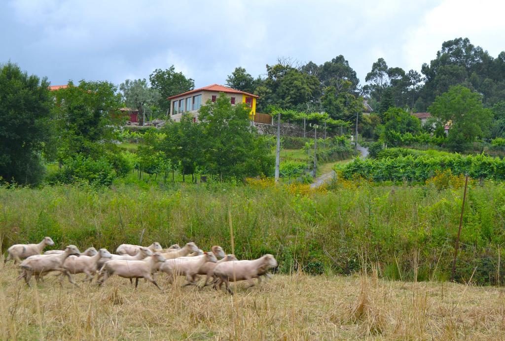 Hostal Quinta Do Olival Arcos de Valdevez Exterior foto